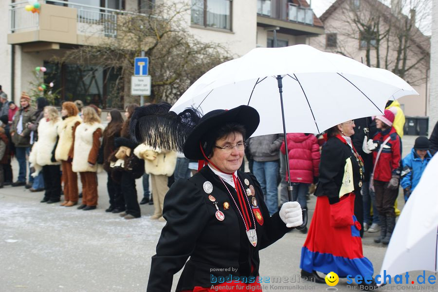 Narrenumzug: Orsingen am Bodensee, 30.01.2011