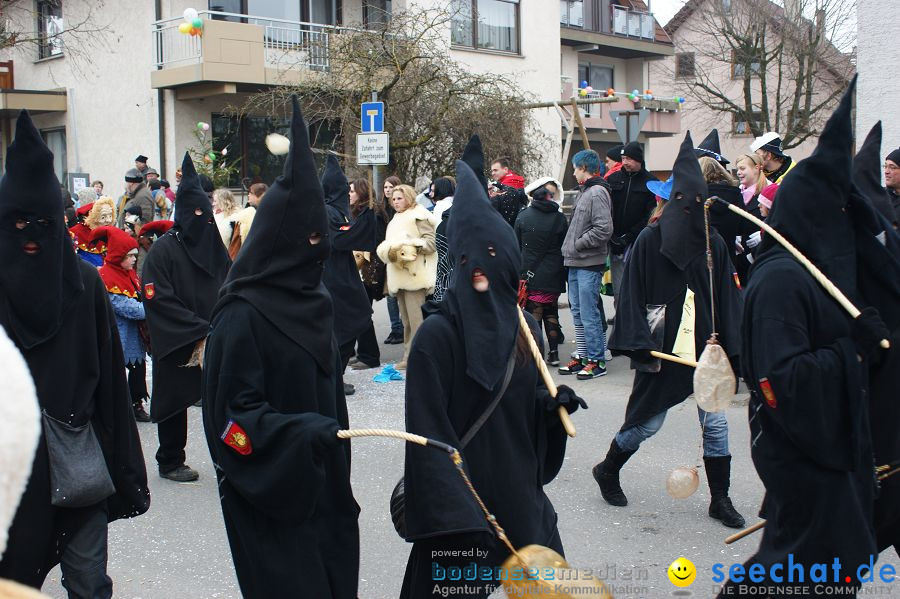 Narrenumzug: Orsingen am Bodensee, 30.01.2011