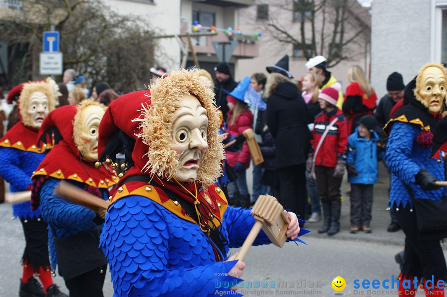 Narrenumzug: Orsingen am Bodensee, 30.01.2011