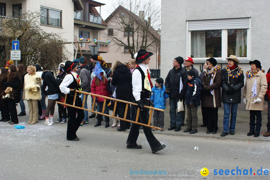 Narrenumzug: Orsingen am Bodensee, 30.01.2011