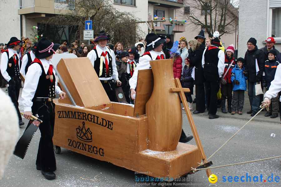 Narrenumzug: Orsingen am Bodensee, 30.01.2011