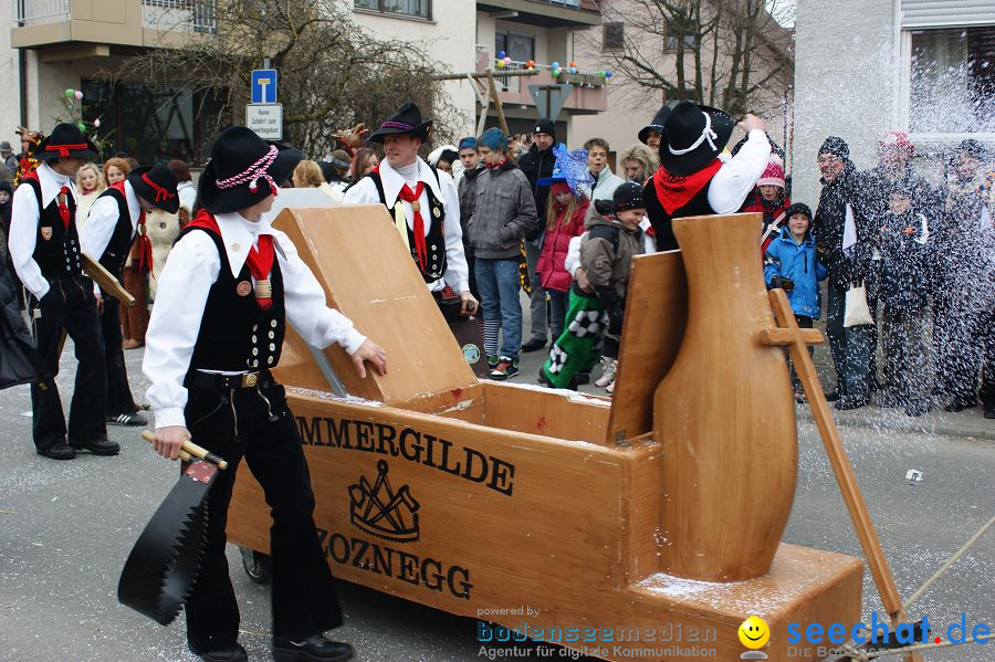 Narrenumzug: Orsingen am Bodensee, 30.01.2011