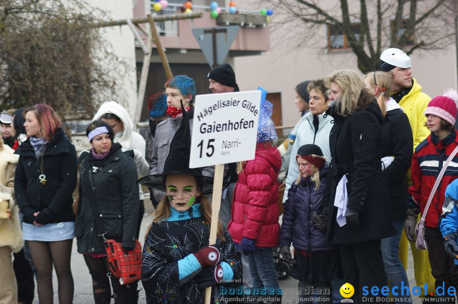 Narrenumzug: Orsingen am Bodensee, 30.01.2011