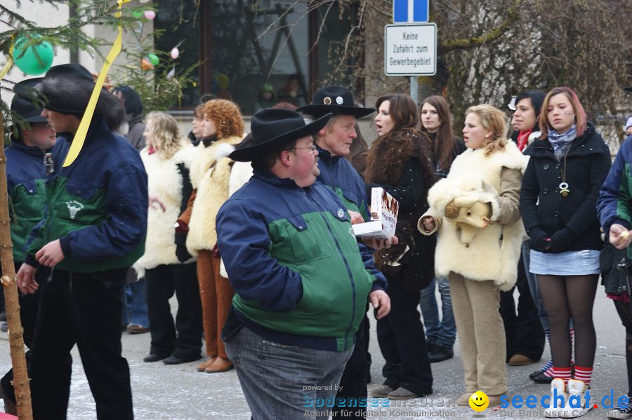 Narrenumzug: Orsingen am Bodensee, 30.01.2011