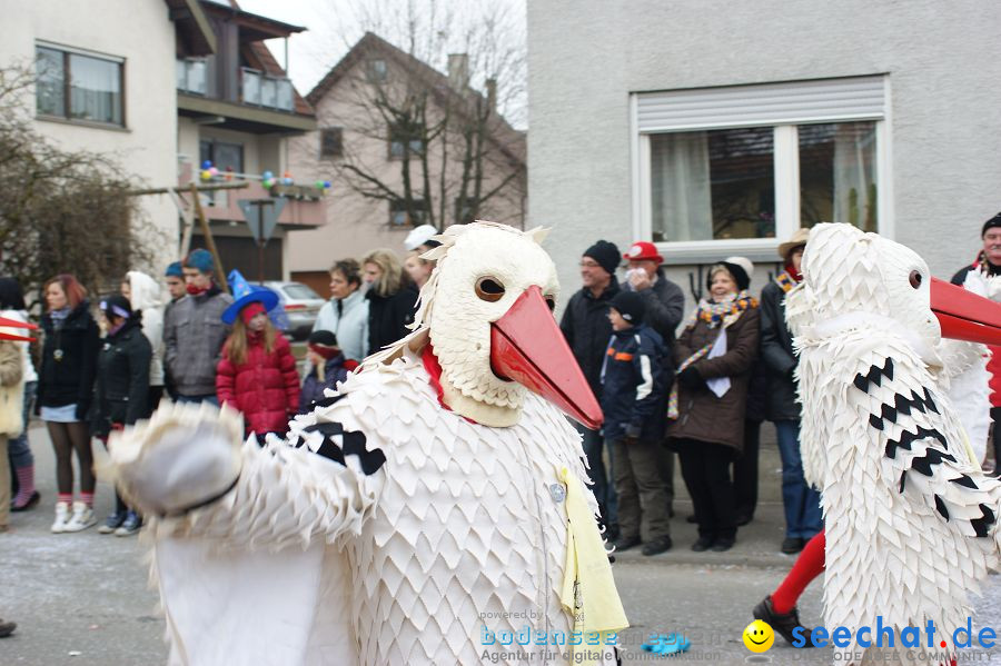 Narrenumzug: Orsingen am Bodensee, 30.01.2011