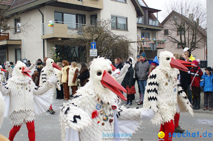 Narrenumzug: Orsingen am Bodensee, 30.01.2011