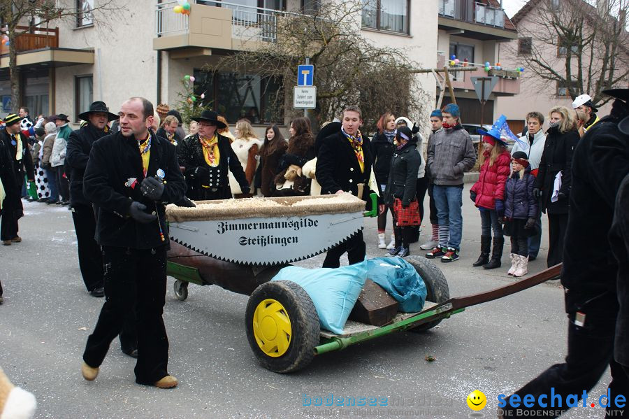 Narrenumzug: Orsingen am Bodensee, 30.01.2011