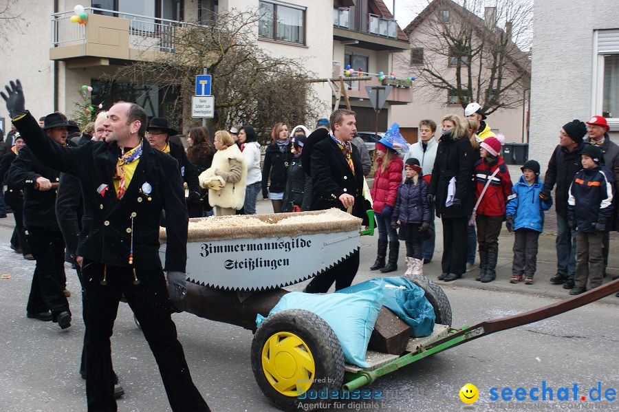 Narrenumzug: Orsingen am Bodensee, 30.01.2011