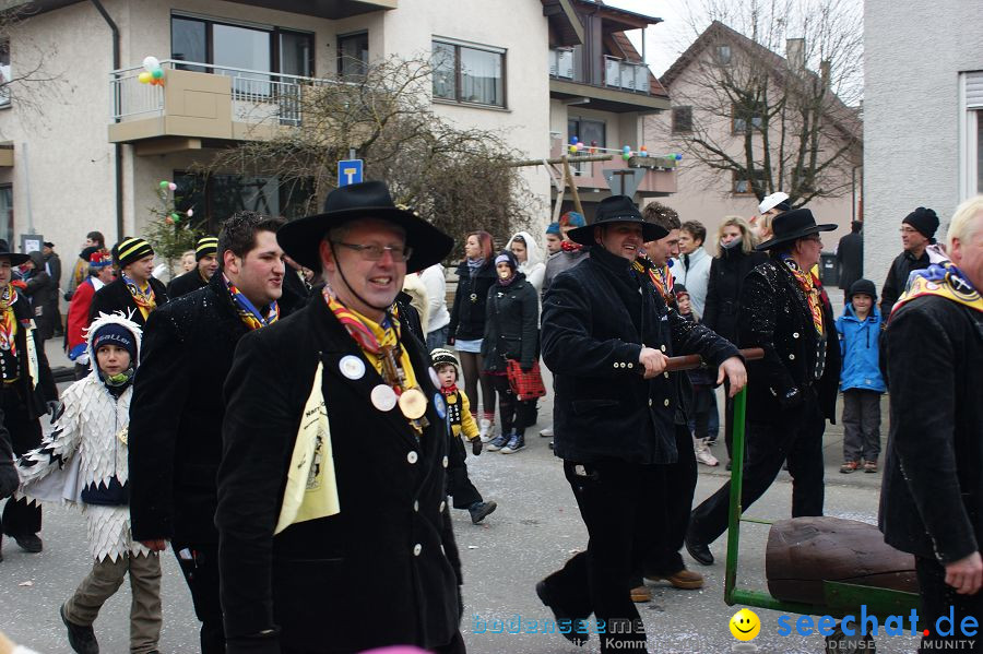 Narrenumzug: Orsingen am Bodensee, 30.01.2011