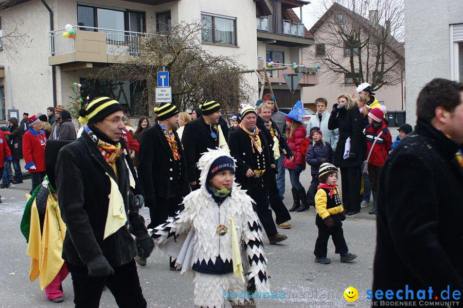 Narrenumzug: Orsingen am Bodensee, 30.01.2011