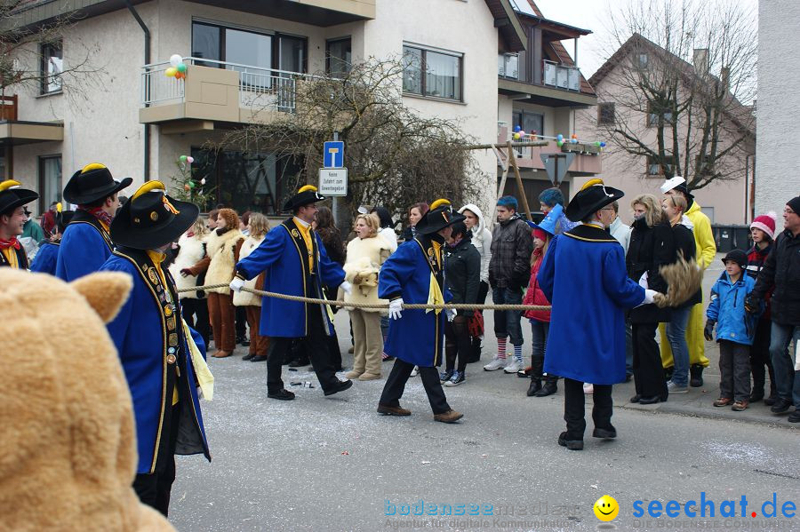 Narrenumzug: Orsingen am Bodensee, 30.01.2011