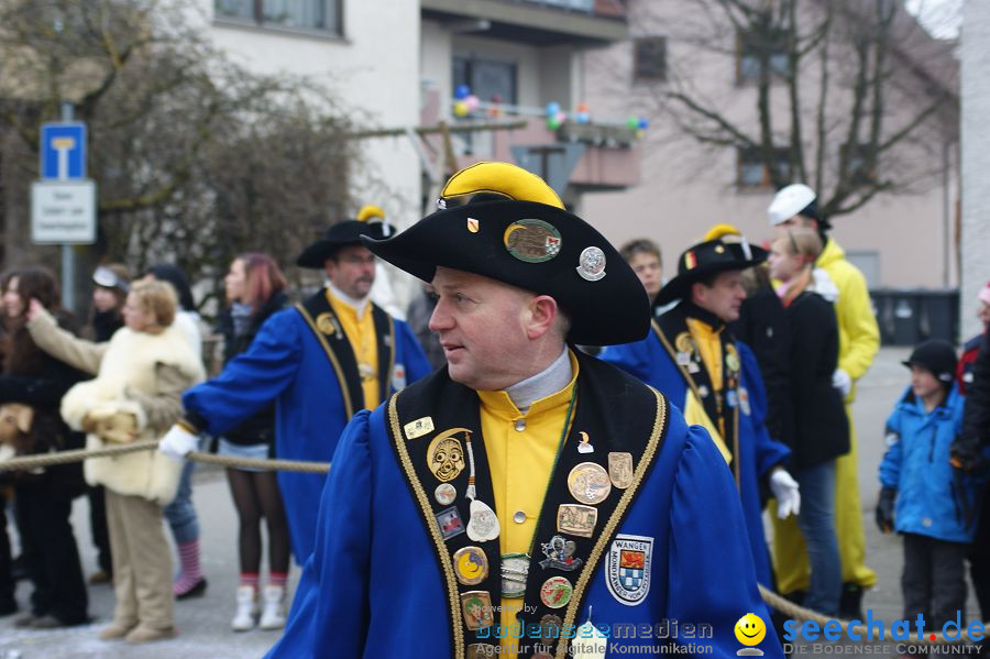 Narrenumzug: Orsingen am Bodensee, 30.01.2011