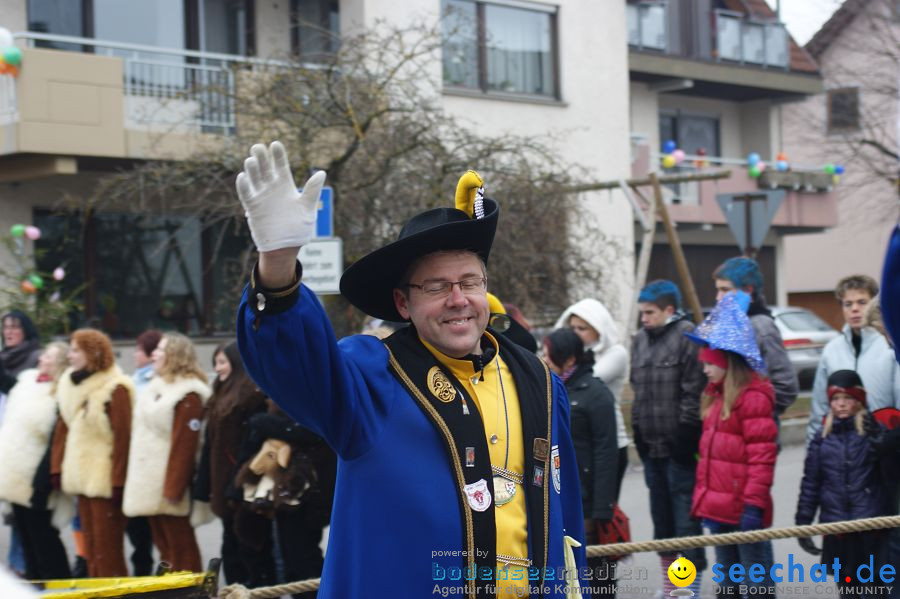 Narrenumzug: Orsingen am Bodensee, 30.01.2011