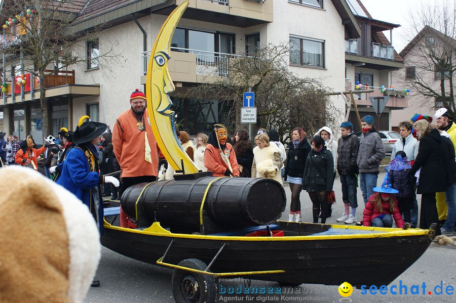 Narrenumzug: Orsingen am Bodensee, 30.01.2011