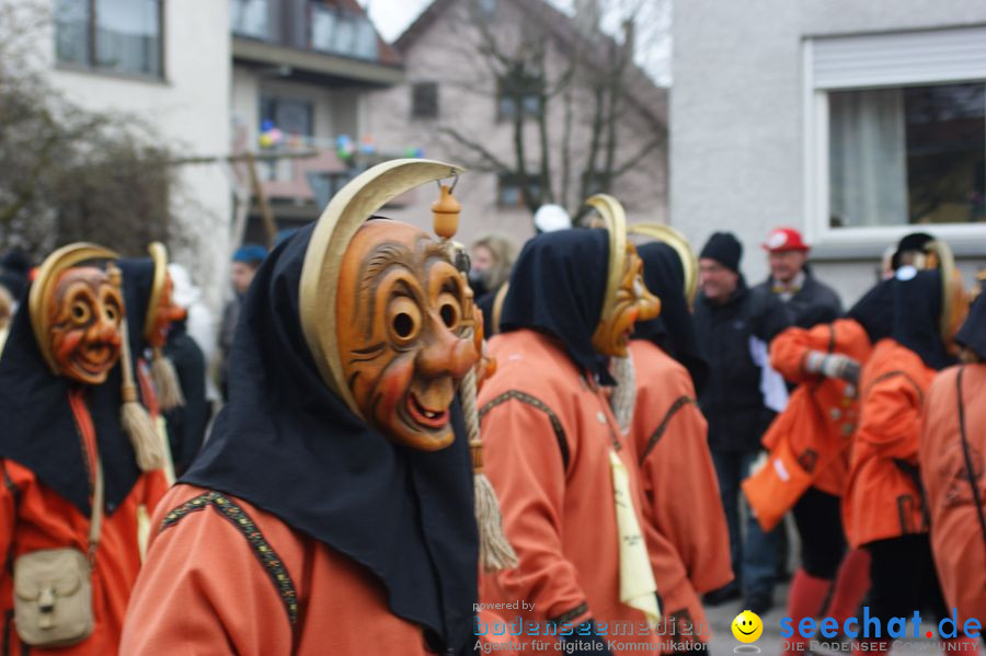 Narrenumzug: Orsingen am Bodensee, 30.01.2011