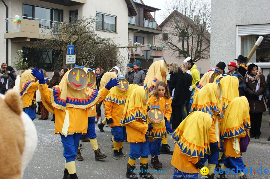 Narrenumzug: Orsingen am Bodensee, 30.01.2011