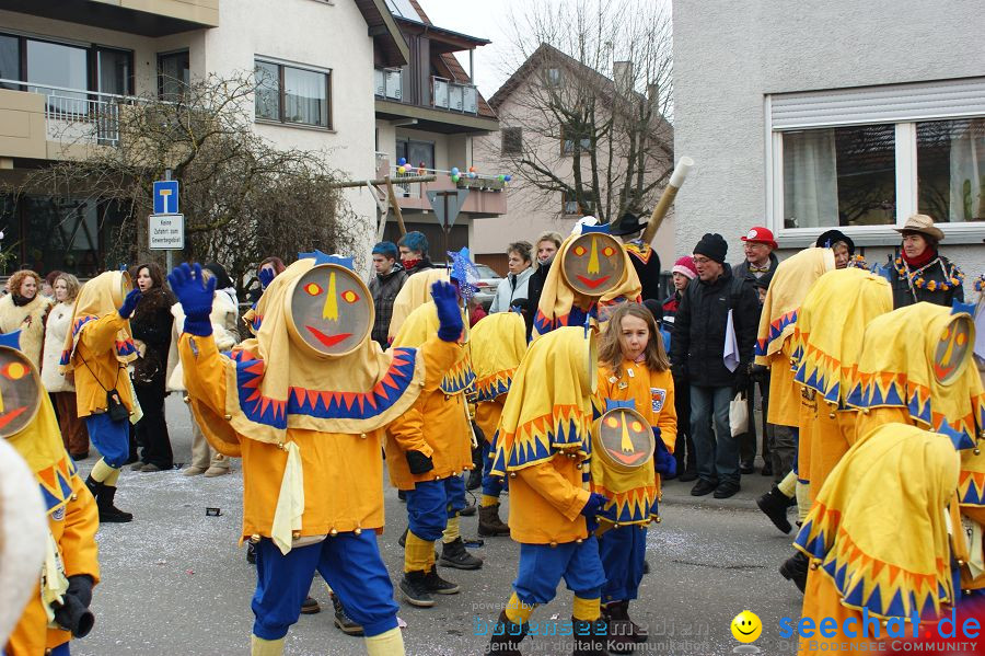 Narrenumzug: Orsingen am Bodensee, 30.01.2011