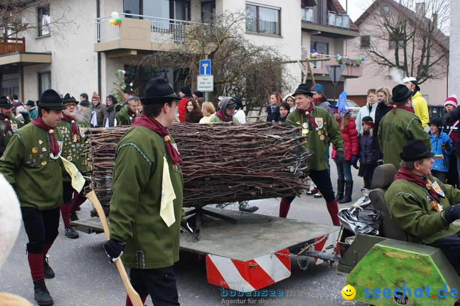 Narrenumzug: Orsingen am Bodensee, 30.01.2011