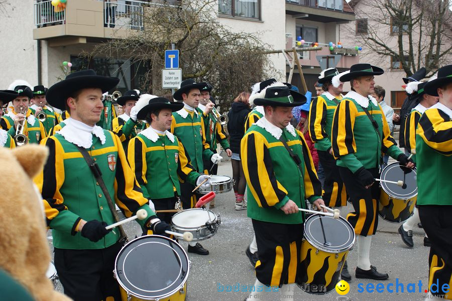 Narrenumzug: Orsingen am Bodensee, 30.01.2011