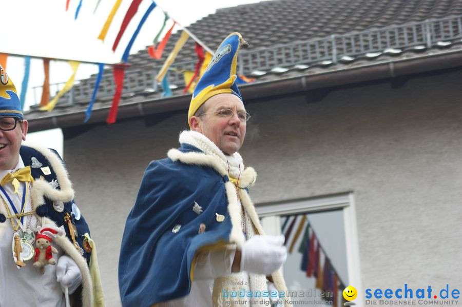 Narrenumzug: Orsingen am Bodensee, 30.01.2011