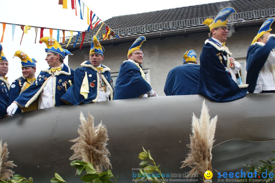 Narrenumzug: Orsingen am Bodensee, 30.01.2011