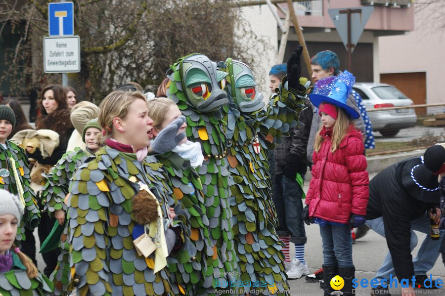 Narrenumzug: Orsingen am Bodensee, 30.01.2011