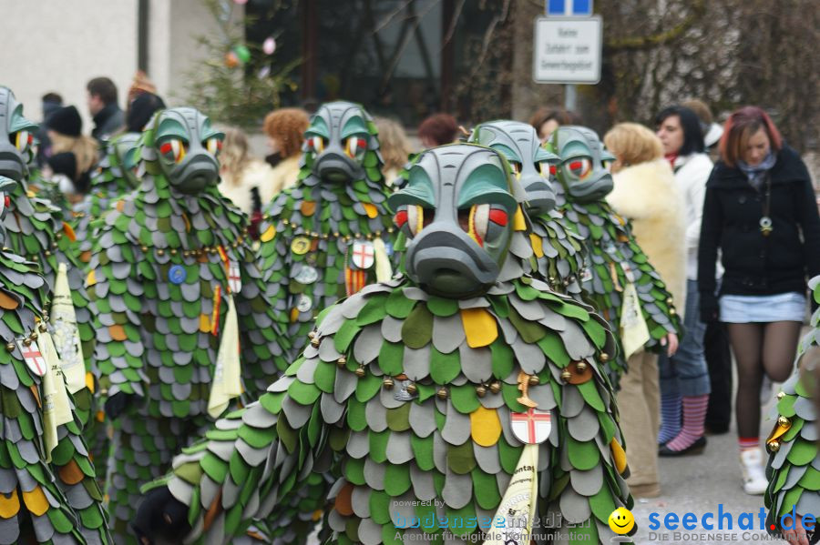 Narrenumzug: Orsingen am Bodensee, 30.01.2011