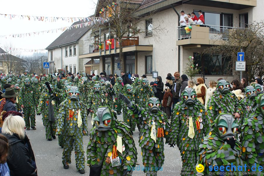 Narrenumzug: Orsingen am Bodensee, 30.01.2011