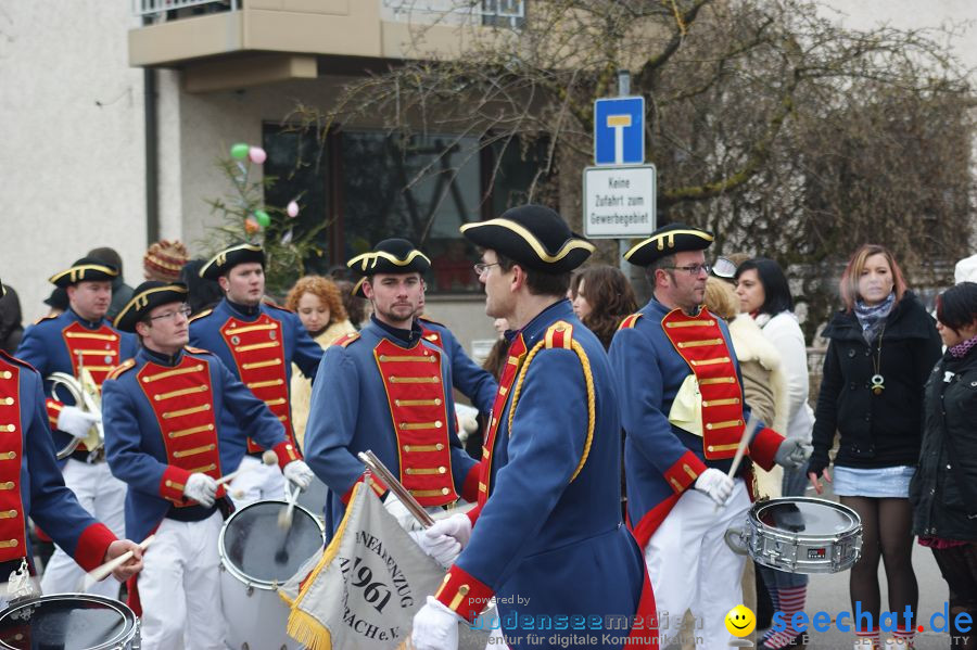 Narrenumzug: Orsingen am Bodensee, 30.01.2011