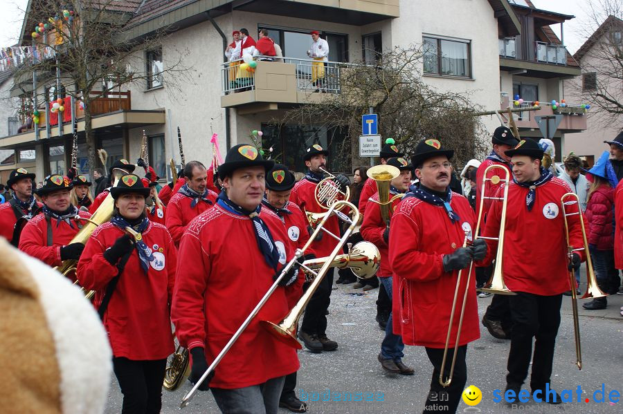 Narrenumzug: Orsingen am Bodensee, 30.01.2011