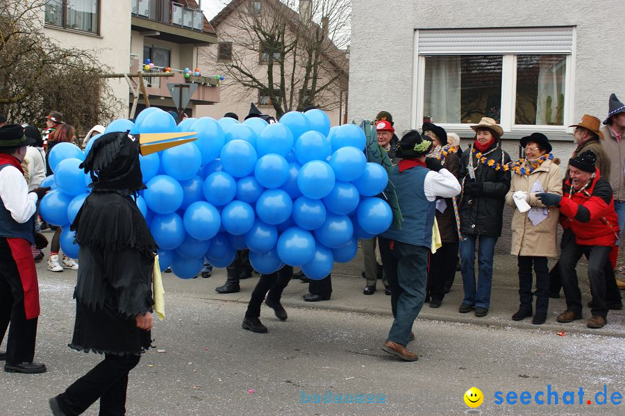 Narrenumzug: Orsingen am Bodensee, 30.01.2011