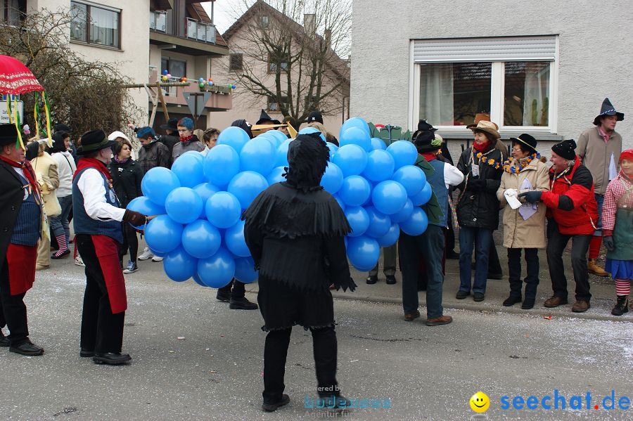 Narrenumzug: Orsingen am Bodensee, 30.01.2011