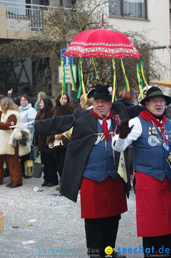 Narrenumzug: Orsingen am Bodensee, 30.01.2011