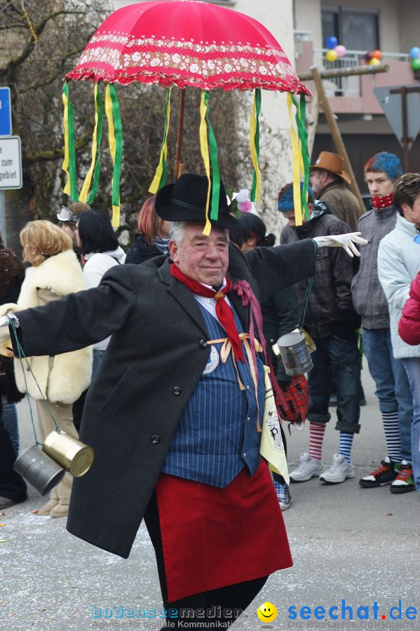 Narrenumzug: Orsingen am Bodensee, 30.01.2011