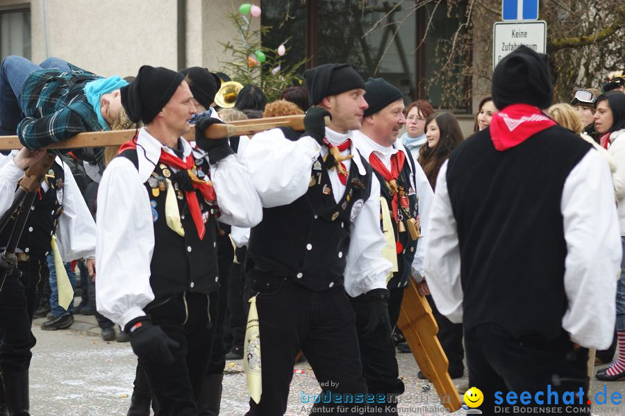 Narrenumzug: Orsingen am Bodensee, 30.01.2011