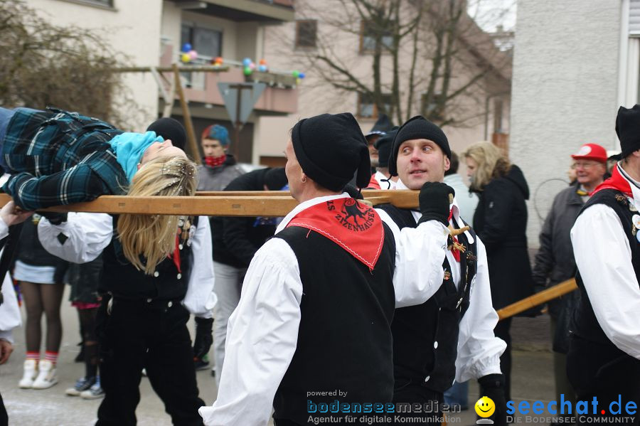 Narrenumzug: Orsingen am Bodensee, 30.01.2011