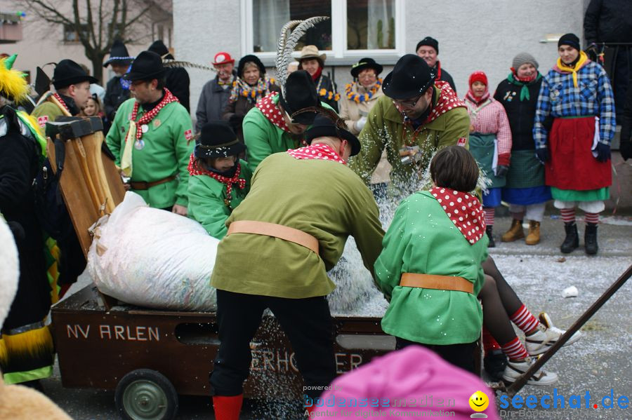 Narrenumzug: Orsingen am Bodensee, 30.01.2011