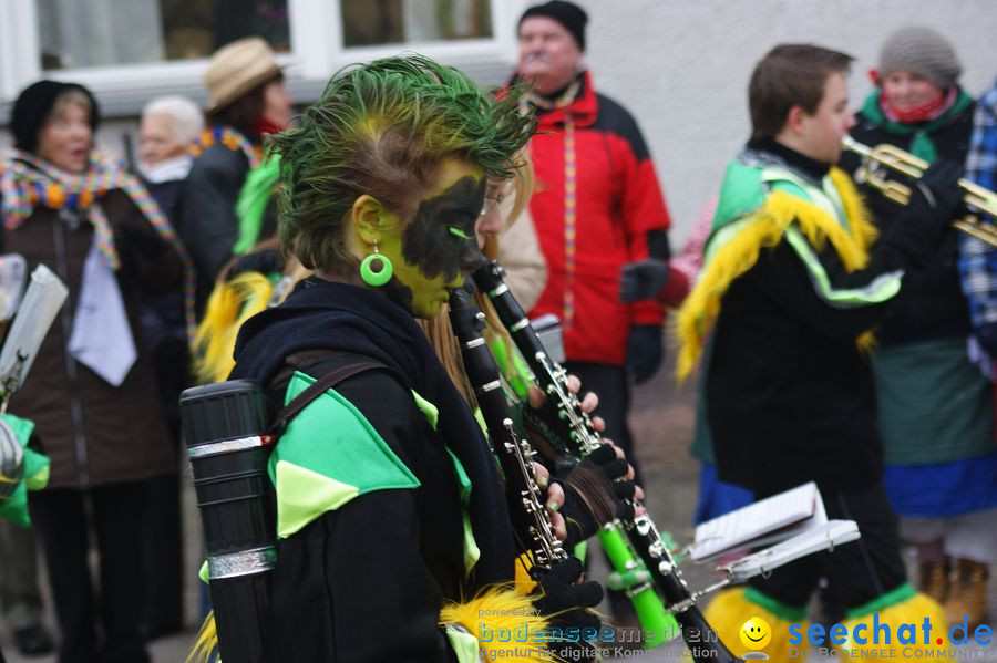 Narrenumzug: Orsingen am Bodensee, 30.01.2011