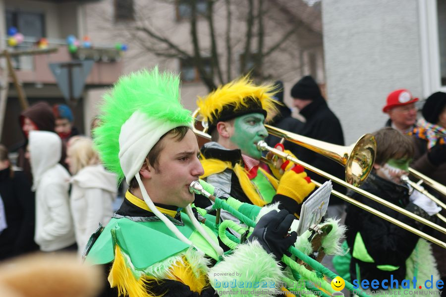 Narrenumzug: Orsingen am Bodensee, 30.01.2011