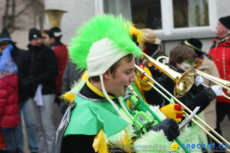 Narrenumzug: Orsingen am Bodensee, 30.01.2011