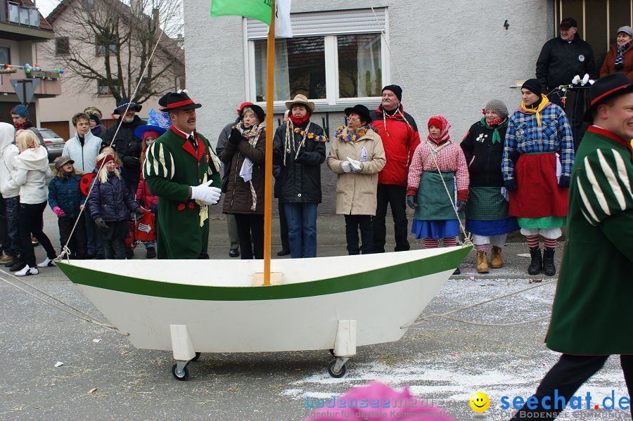 Narrenumzug: Orsingen am Bodensee, 30.01.2011