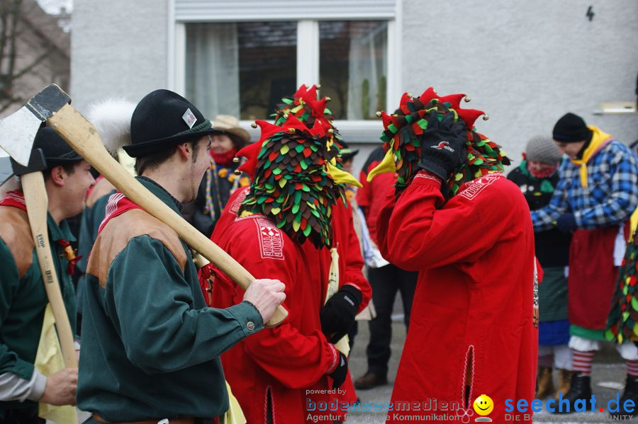 Narrenumzug: Orsingen am Bodensee, 30.01.2011