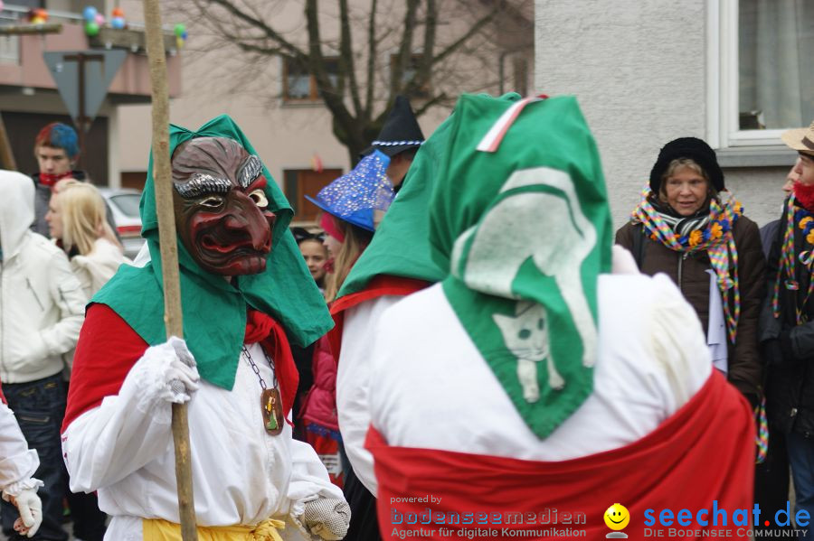 Narrenumzug: Orsingen am Bodensee, 30.01.2011