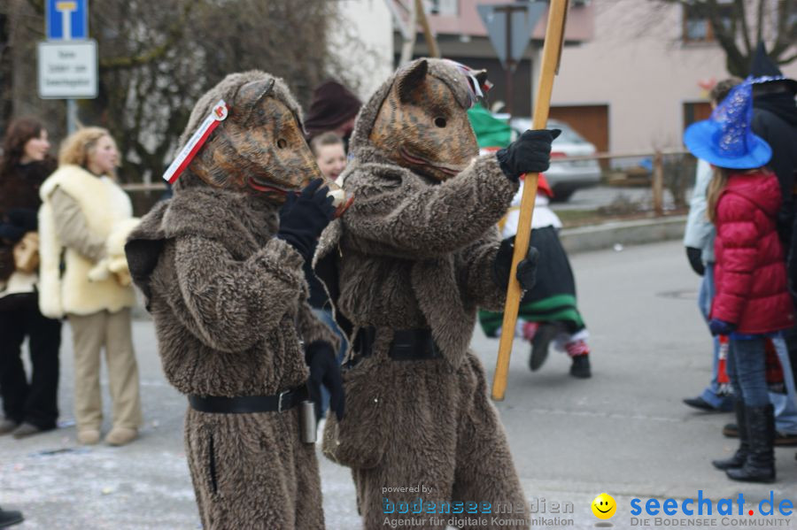 Narrenumzug: Orsingen am Bodensee, 30.01.2011