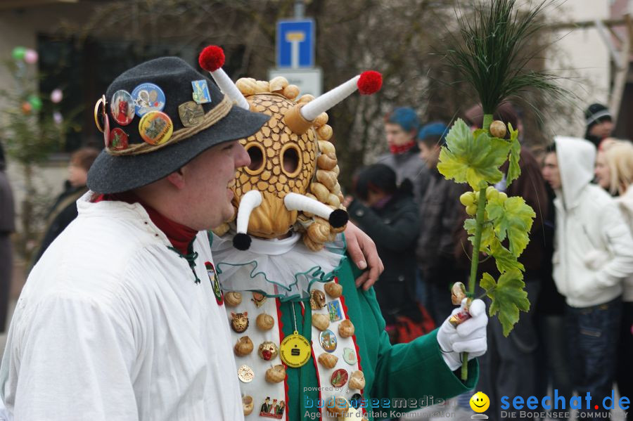 Narrenumzug: Orsingen am Bodensee, 30.01.2011