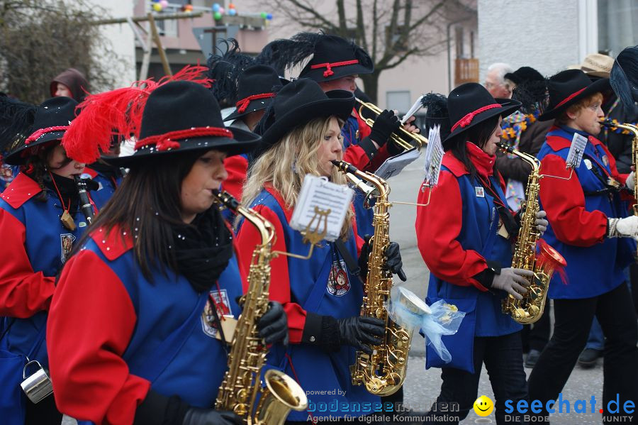 Narrenumzug: Orsingen am Bodensee, 30.01.2011