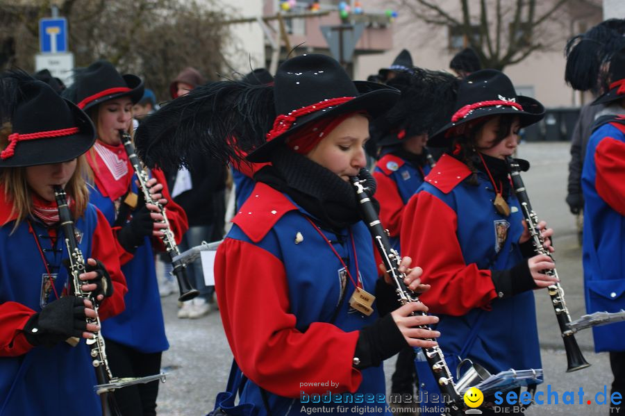 Narrenumzug: Orsingen am Bodensee, 30.01.2011