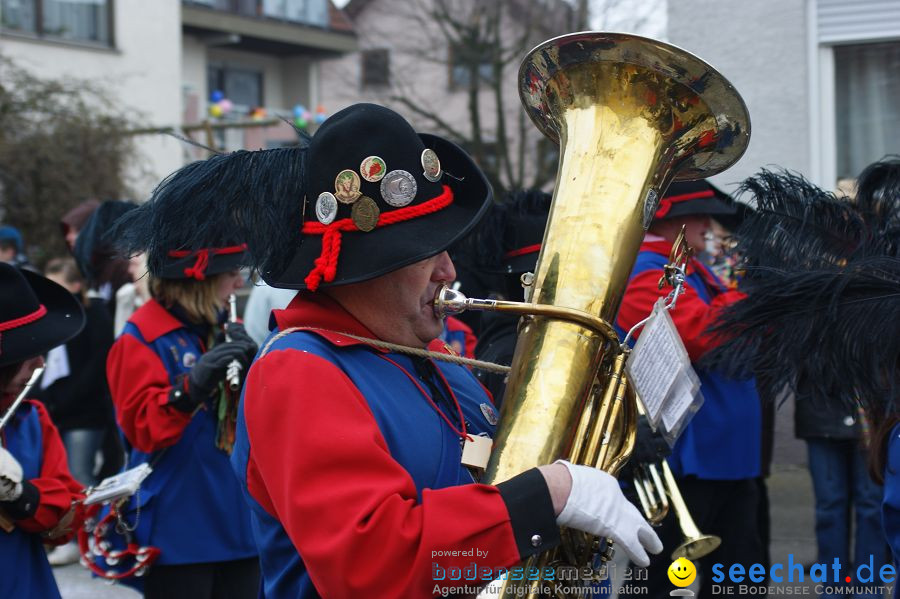 Narrenumzug: Orsingen am Bodensee, 30.01.2011