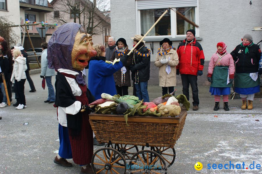 Narrenumzug: Orsingen am Bodensee, 30.01.2011