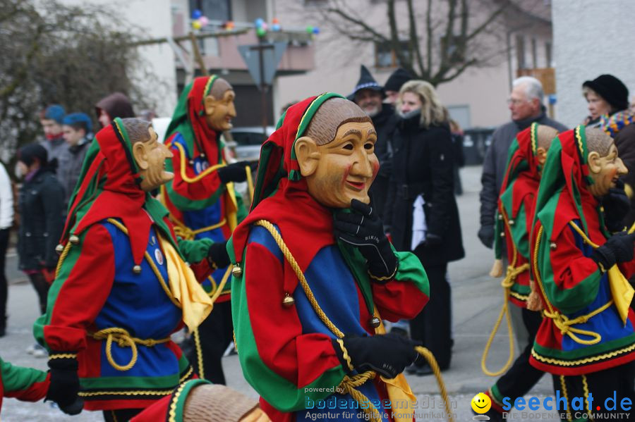 Narrenumzug: Orsingen am Bodensee, 30.01.2011